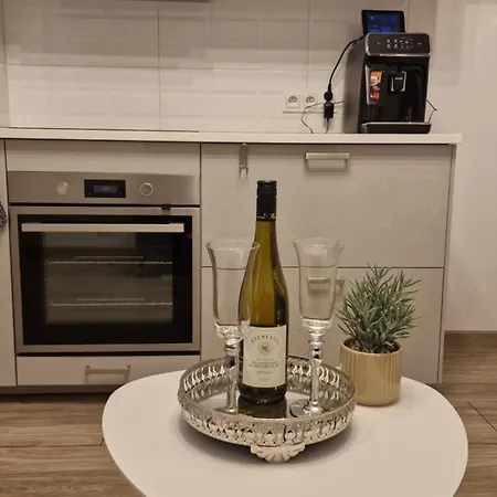 Apartment In Style *