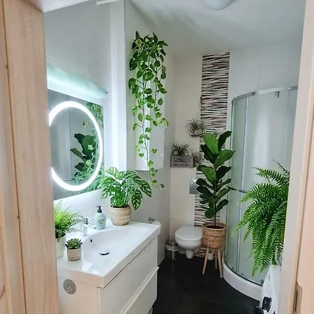 Apartment In Style Lodz