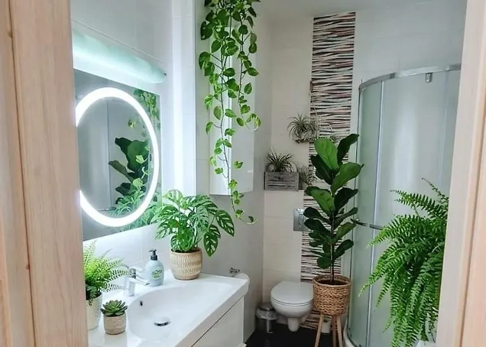 شقة In Style وودج